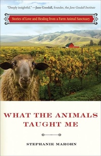 Enlarge image Cover: What the Animals Taught Me - Hampton Roads Publishing Co