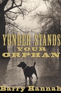 Cover: Yonder Stands Your Orphan - Grove Press