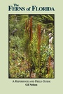 Cover: The Ferns of Florida - Pineapple Press Inc.,U.S.