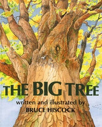 Enlarge image Cover: The Big Tree - Boyds Mills Press