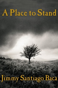 Enlarge image Cover: A Place to Stand - Grove Press