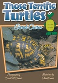 Cover: Those Terrific Turtles - Pineapple Press Inc.,U.S.