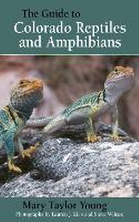 Enlarge image Cover: The Guide to Colorado Reptiles and Amphibians - Fulcrum Inc.,US