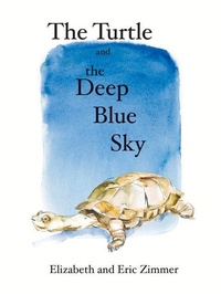 Enlarge image Cover: The Turtle and the Deep Blue Sky - Fulcrum Inc.,US