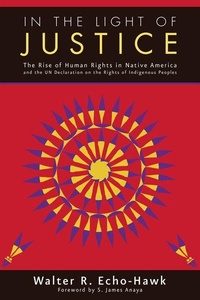 Enlarge image Cover: In the Light of Justice - Fulcrum Inc.,US