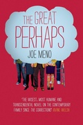 Cover: The Great Perhaps - Pan Books
