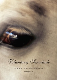 Enlarge image Cover: Voluntary Servitude - Graywolf Press