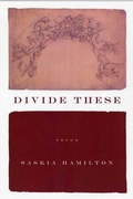 Cover: Divide These - Graywolf Press