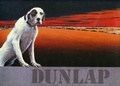 Cover: Dunlap - University Press of Mississippi