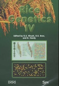 Cover: Rice Genetics IV - Science Publishers,U.S.
