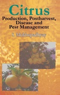 Cover: Citrus - Science Publishers,U.S.