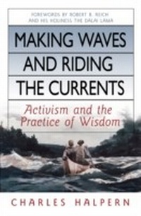 Enlarge image Cover: Making Waves and Riding the Currents - Berrett-Koehler Publishers