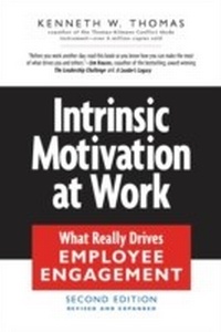 Enlarge image Cover: Intrinsic Motivation at Work - Berrett-Koehler Publishers
