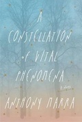 Cover: A Constellation of Vital Phenomena - Large Print Press