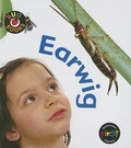Cover: Earwig - Heinemann Library