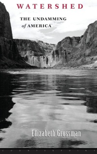 Enlarge image Cover: Watershed - Counterpoint