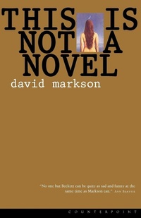 Abbildung von: This Is Not a Novel - Counterpoint