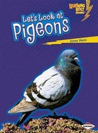Enlarge image Cover: Let's Look at Pigeons - Lerner Publishing Group