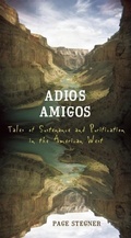 Cover: Adios Amigos - Counterpoint