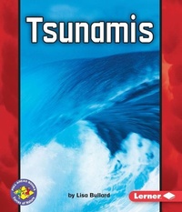 Enlarge image Cover: Tsunamis - Lerner Publishing Group