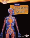Cover: Your Circulatory System - Lerner Publishing Group