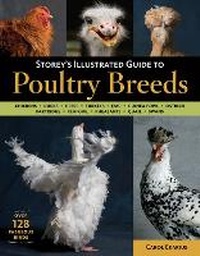Abbildung von: Storey's Illustrated Guide to Poultry Breeds - Storey Publishing LLC