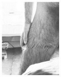 Abbildung von: Hairy - powerHouse Books,U.S.