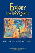 Cover: Ecology & the Jewish Spirit - Jewish Lights Publishing