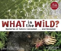 Enlarge image Cover: What In The Wild? - Tricycle Press