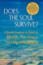 Cover: Does the Soul Survive? - Jewish Lights Publishing