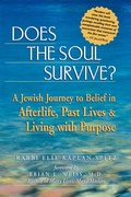 Cover: Does the Soul Survive? - Jewish Lights Publishing