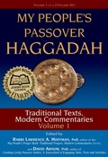 Cover: My People's Passover Haggadah - Jewish Lights Publishing