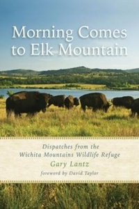 Enlarge image Cover: Morning Comes to Elk Mountain - University of North Texas Press,U.S.