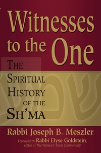 Enlarge image Cover: Witness to the One - Jewish Lights Publishing