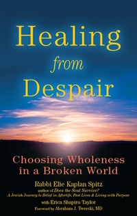 Enlarge image Cover: Healing from Despair - Jewish Lights Publishing