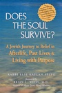 Cover: Does the Soul Survive? - Jewish Lights