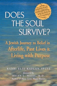 Enlarge image Cover: Does the Soul Survive? - Jewish Lights