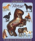 Cover: Uncover a Horse - Silver Dolphin Books