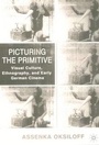 Cover: Picturing the Primitive - Palgrave Macmillan