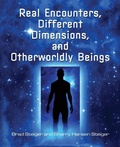 Cover: Real Encounters, Different Dimensions And Otherwordly Beings - Visible Ink Press
