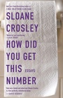 Cover: How Did You Get This Number - Riverhead Books,U.S.