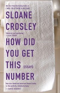 Enlarge image Cover: How Did You Get This Number - Riverhead Books,U.S.