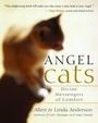 Cover: Angel Cats - New World Library