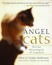 Enlarge image Cover: Angel Cats - New World Library