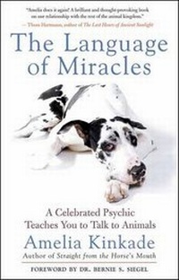 Enlarge image Cover: The Language of Miracles - New World Library