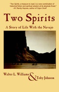 Cover: Two Spirits - Lethe Press