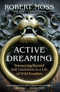 Abbildung von: Active Dreaming - New World Library