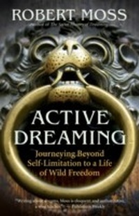 Enlarge image Cover: Active Dreaming - New World Library