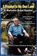 Cover: A Prophet in His Own Land - Lethe Press