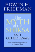 Cover: The Myth of the Shiksa and Other Essays - Seabury Books